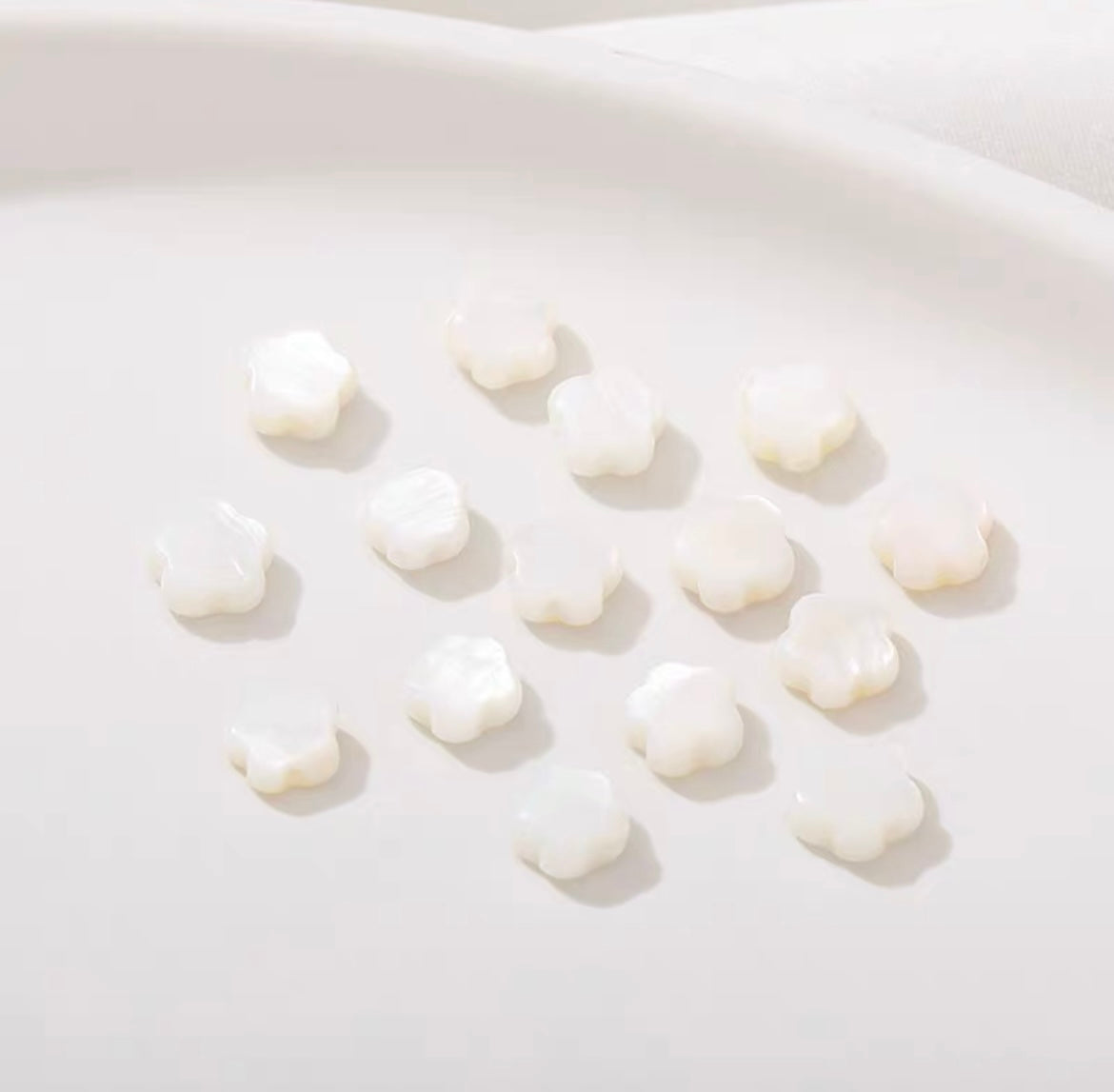 Cuentas de concha de agua dulce natural (10 piezas)