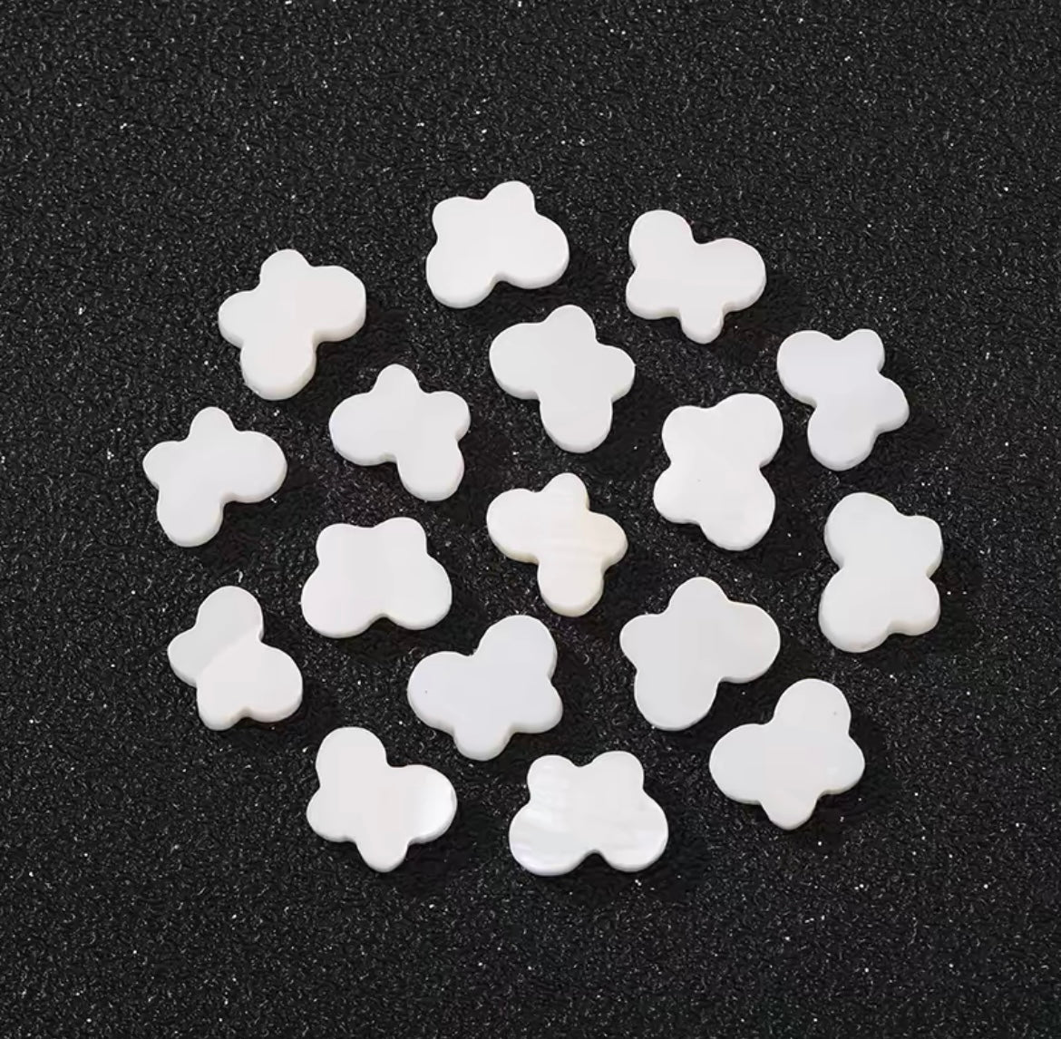 Cuentas de concha de agua dulce natural (10 piezas)