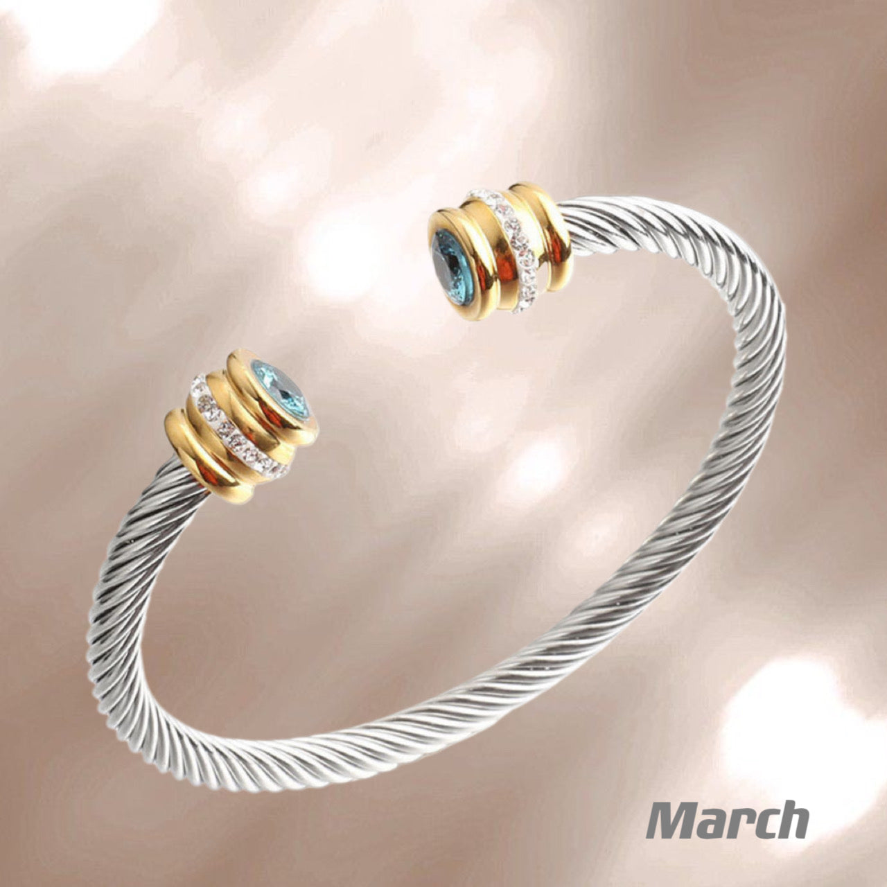 Pulsera de acero inoxidable con piedras preciosas y titanio y plata Pulsera con mes